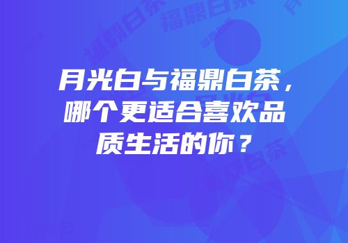 月光白与福鼎白茶，哪个更适合喜欢品质生活的你？