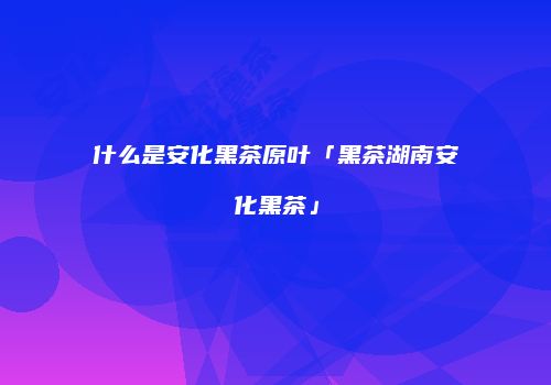 什么是安化黑茶原叶「黑茶湖南安化黑茶」