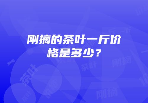 刚摘的茶叶一斤价格是多少？