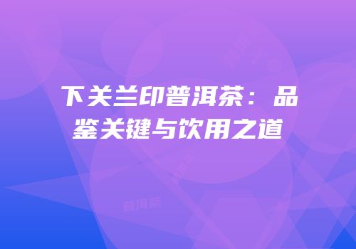 下关兰印普洱茶：品鉴关键与饮用之道
