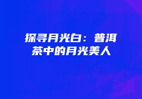 探寻月光白：普洱茶中的月光美人