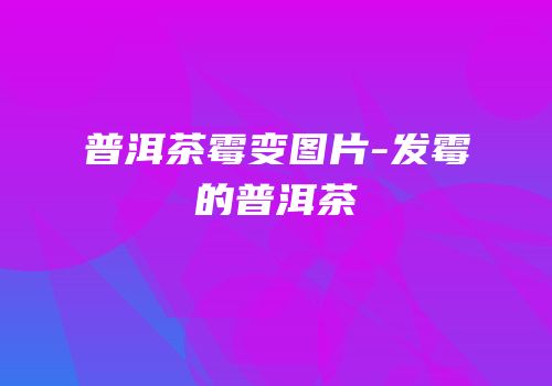 普洱茶霉变图片-发霉的普洱茶