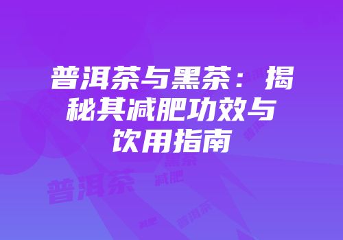 普洱茶与黑茶：揭秘其减肥功效与饮用指南