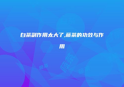 白茶副作用太大了,藤茶的功效与作用