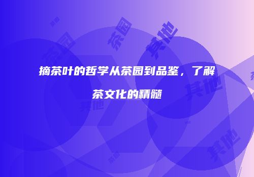 摘茶叶的哲学从茶园到品鉴，了解茶文化的精髓