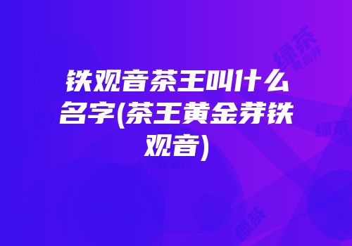 铁观音茶王叫什么名字(茶王黄金芽铁观音)