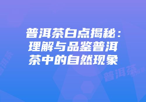 普洱茶白点揭秘：理解与品鉴普洱茶中的自然现象