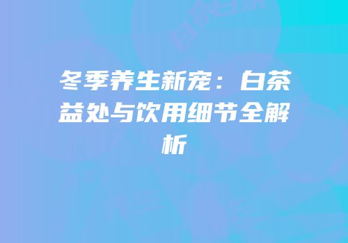 冬季养生新宠：白茶益处与饮用细节全解析