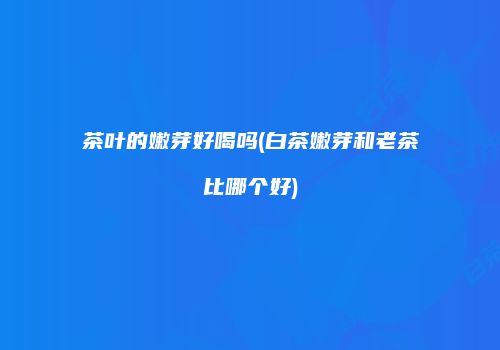 茶叶的嫩芽好喝吗(白茶嫩芽和老茶比哪个好)