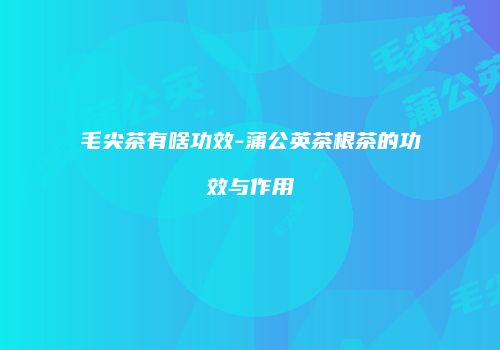 毛尖茶有啥功效-蒲公英茶根茶的功效与作用