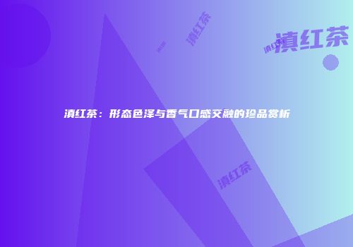 滇红茶：形态色泽与香气口感交融的珍品赏析