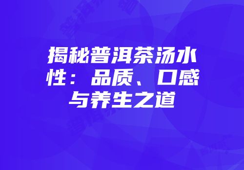 揭秘普洱茶汤水性：品质、口感与养生之道