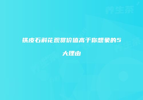 铁皮石斛花观赏价值高于你想象的5大理由