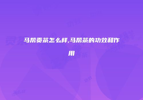 马帮贡茶怎么样,马帮茶的功效和作用