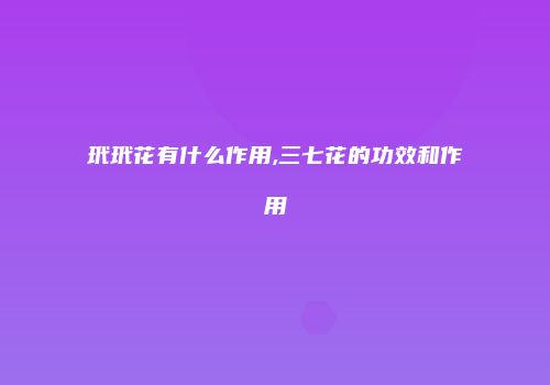 玳玳花有什么作用,三七花的功效和作用