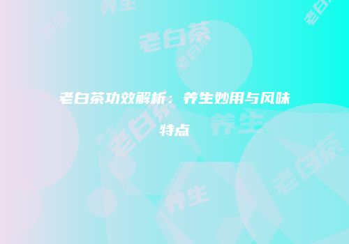 老白茶功效解析：养生妙用与风味特点