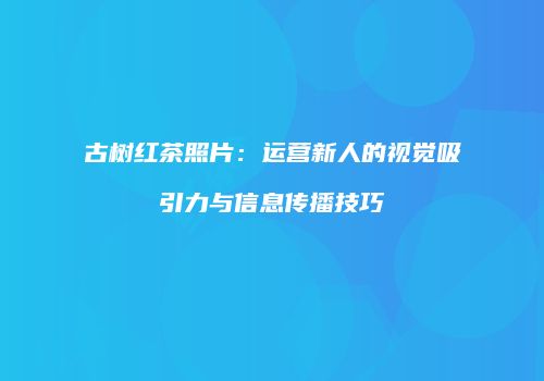 古树红茶照片：运营新人的视觉吸引力与信息传播技巧