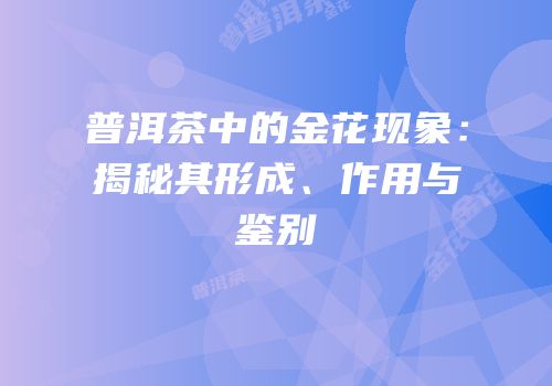 普洱茶中的金花现象：揭秘其形成、作用与鉴别