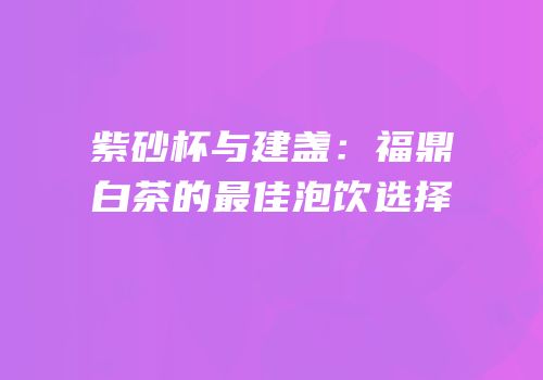 紫砂杯与建盏：福鼎白茶的最佳泡饮选择