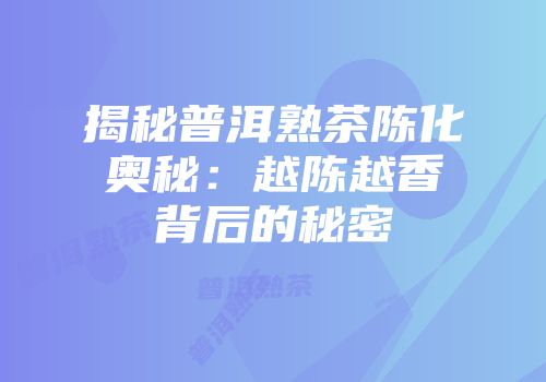 揭秘普洱熟茶陈化奥秘：越陈越香背后的秘密