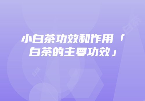 小白茶功效和作用「白茶的主要功效」