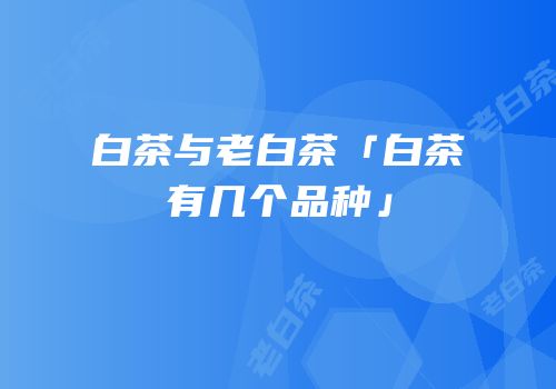 白茶与老白茶「白茶有几个品种」
