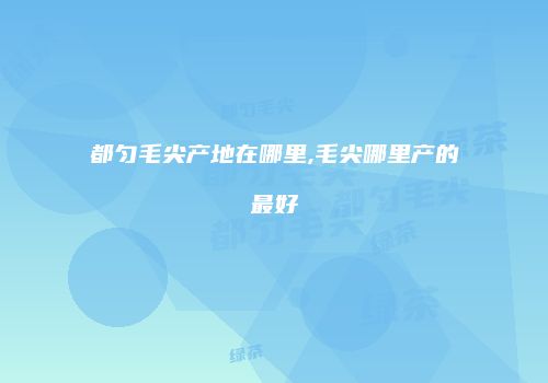 都匀毛尖产地在哪里,毛尖哪里产的最好