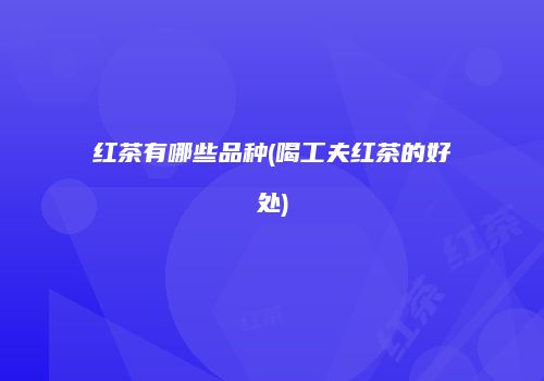 红茶有哪些品种(喝工夫红茶的好处)
