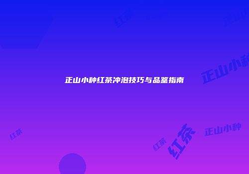 正山小种红茶冲泡技巧与品鉴指南