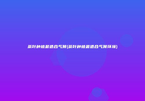茶叶种植最适合气候(茶叶种植最适合气候环境)