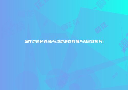 菊花茶的种类图片(泡茶菊花的图片和名称图片)