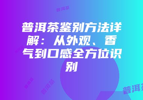 普洱茶鉴别方法详解：从外观、香气到口感全方位识别