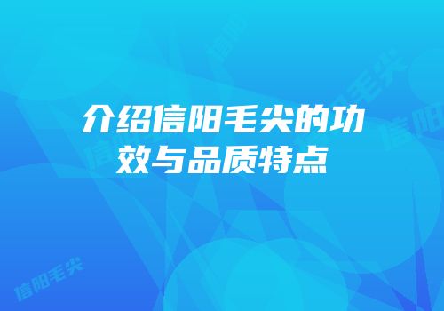 介绍信阳毛尖的功效与品质特点