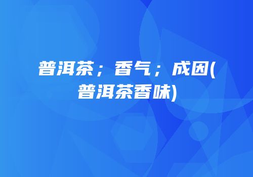 普洱茶；香气；成因(普洱茶香味)