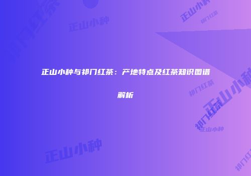 正山小种与祁门红茶：产地特点及红茶知识图谱解析