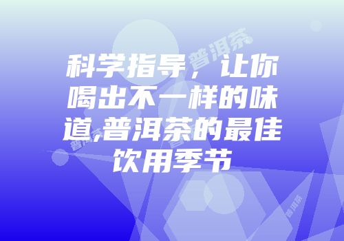 科学指导，让你喝出不一样的味道,普洱茶的最佳饮用季节