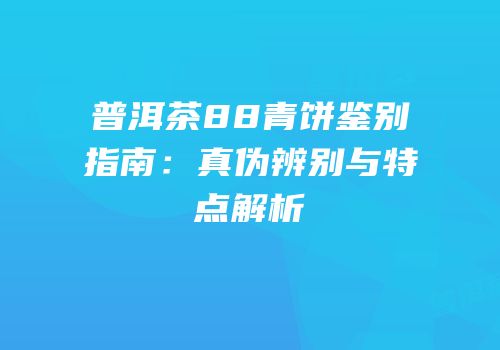 普洱茶88青饼鉴别指南：真伪辨别与特点解析
