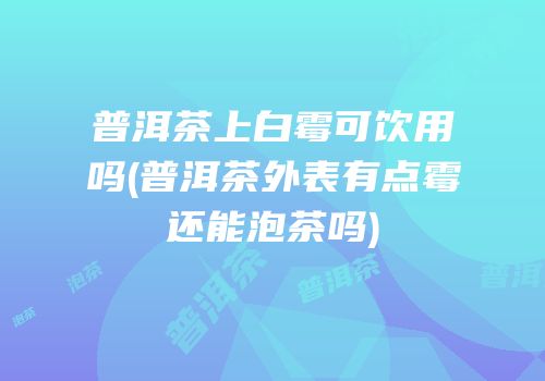 普洱茶上白霉可饮用吗(普洱茶外表有点霉还能泡茶吗)