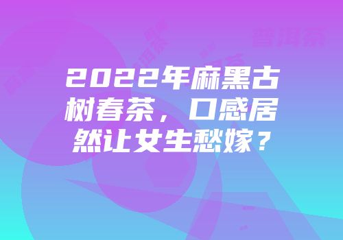 2022年麻黑古树春茶，口感居然让女生愁嫁？