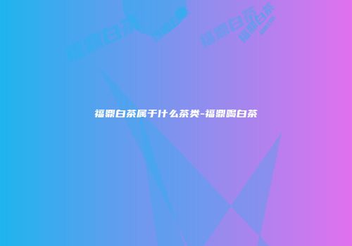 福鼎白茶属于什么茶类-福鼎喝白茶