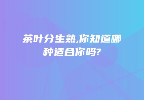 茶叶分生熟,你知道哪种适合你吗?