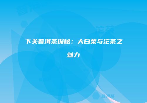 下关普洱茶探秘：大白菜与沱茶之魅力