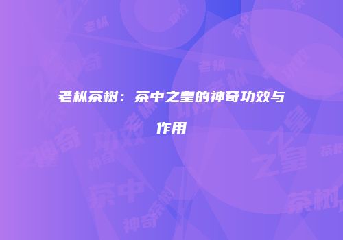 老枞茶树：茶中之皇的神奇功效与作用