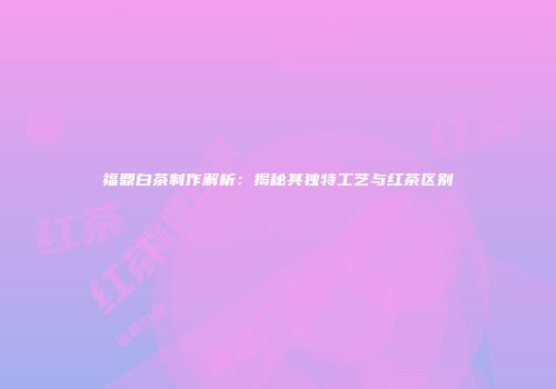 福鼎白茶制作解析：揭秘其独特工艺与红茶区别