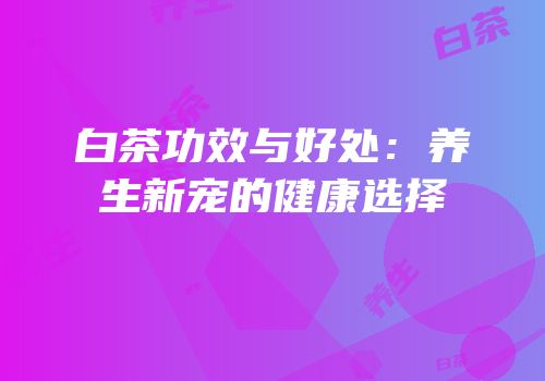 白茶功效与好处：养生新宠的健康选择
