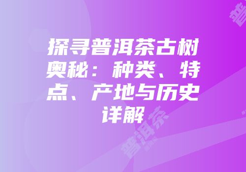 探寻普洱茶古树奥秘：种类、特点、产地与历史详解