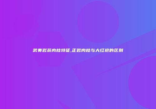 武夷岩茶肉桂特征,正岩肉桂与大红袍的区别