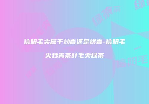 信阳毛尖属于炒青还是烘青-信阳毛尖炒青茶叶毛尖绿茶