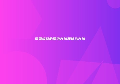 凤凰枞茶的浸泡方法和挑选方法