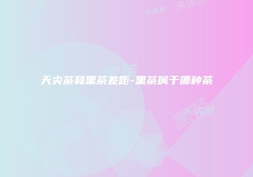 天尖茶和黑茶差距-黑茶属于哪种茶